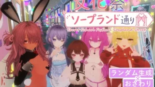 裏文化祭ソープランド通り のパッケージ画像