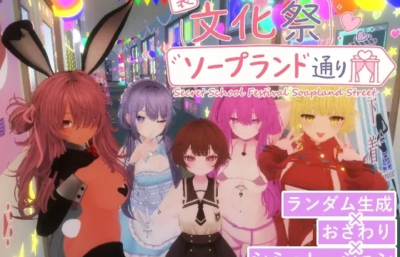 裏文化祭ソープランド通り のパッケージ画像