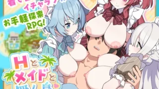 Hとメイドと無人島 のパッケージ画像